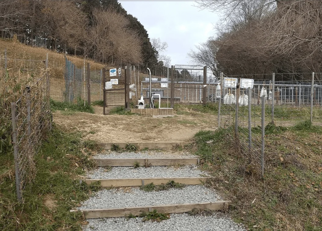 ドッグラン まほろばの丘