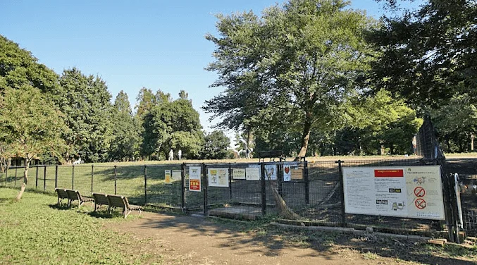 水元公園ドッグラン