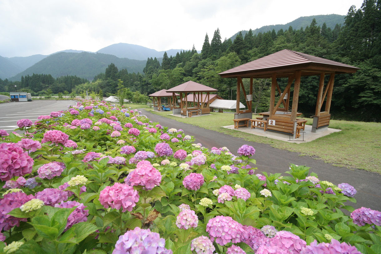 バーベキューハウス四季の森