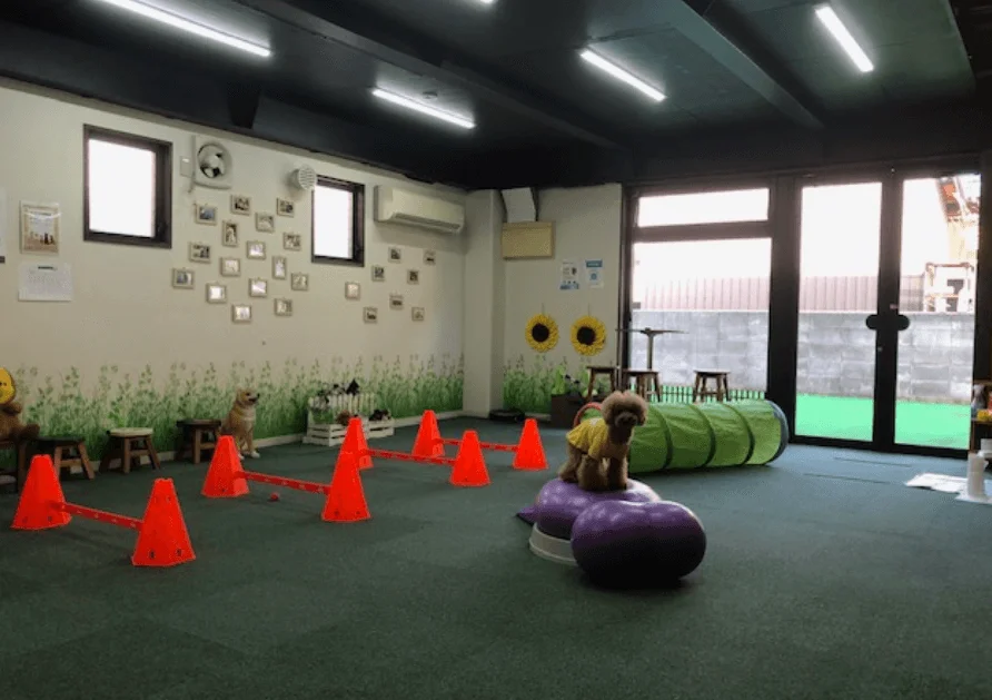 DOGRUNcafeプチ・プチ