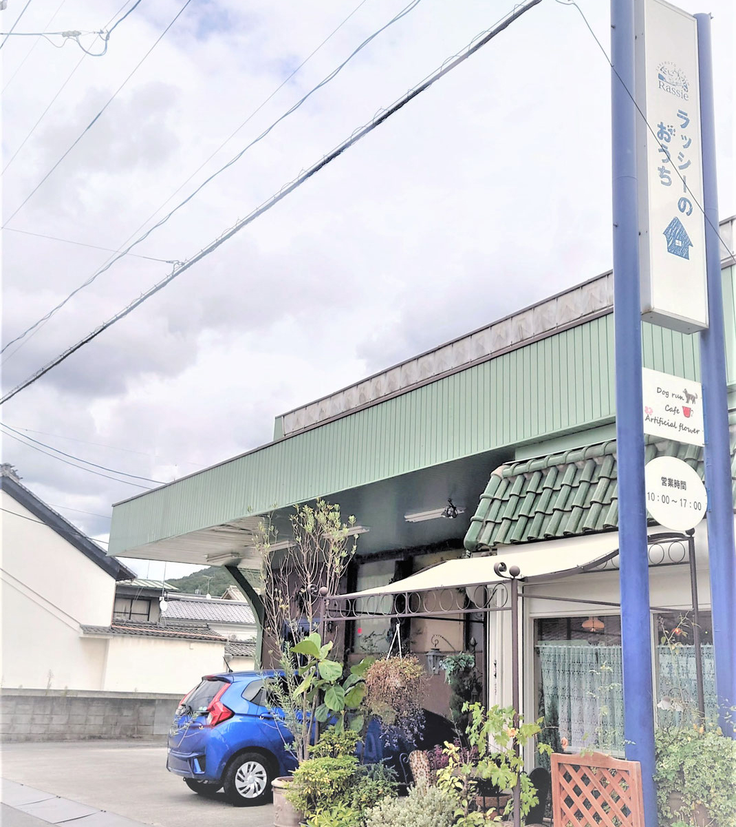 ラッシーのおうち