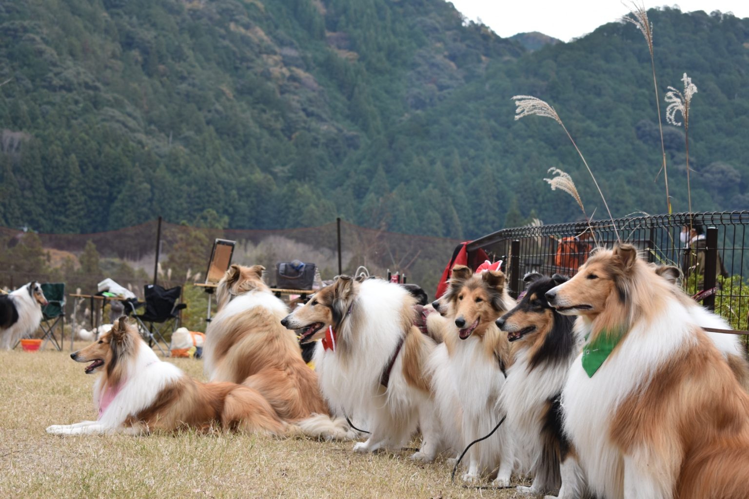 サーブアイランド