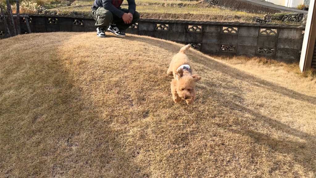 ドンソレイユ ワンガーデン