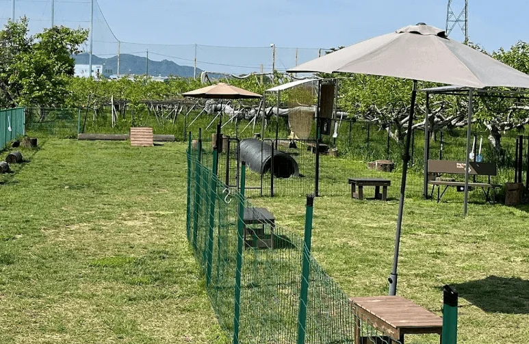 福美農園 Dog Landシュシュ