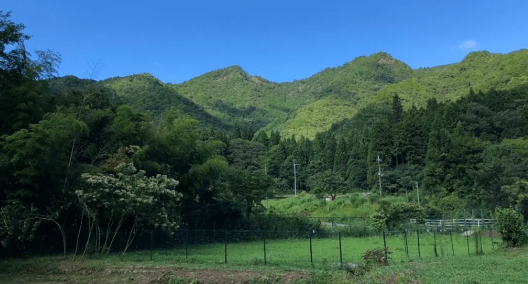 丹波マザーガーデン