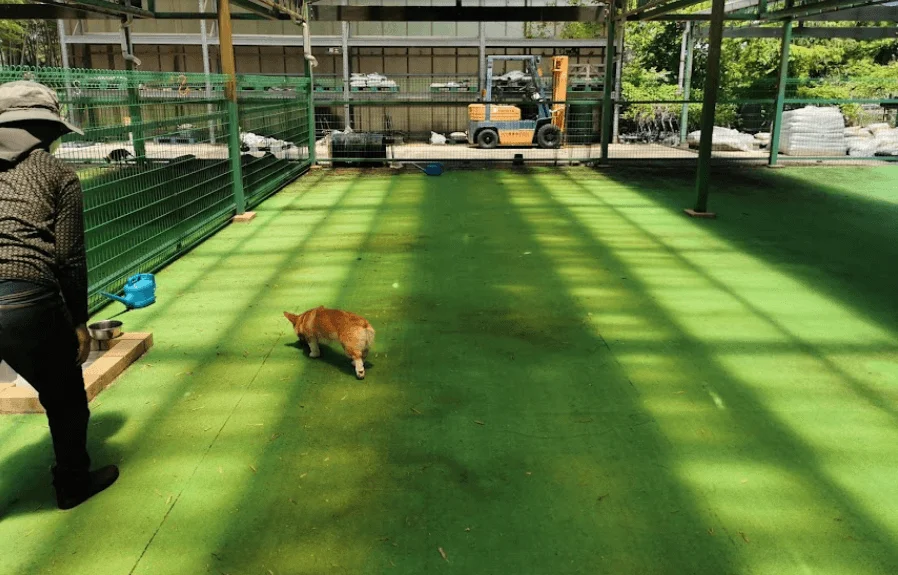 赤膚山ドッグラン フロリアード