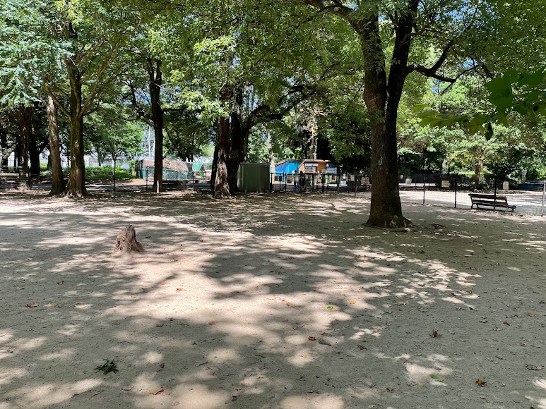 航空記念公園 ドッグラン