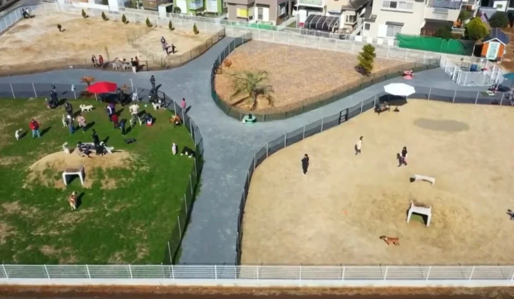 ドッグリゾートさかい