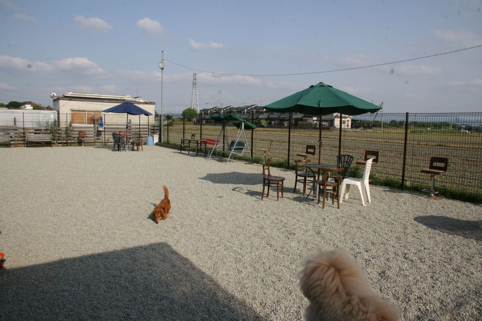 OCEAN PAPA LAND(オーシャンパパランド)