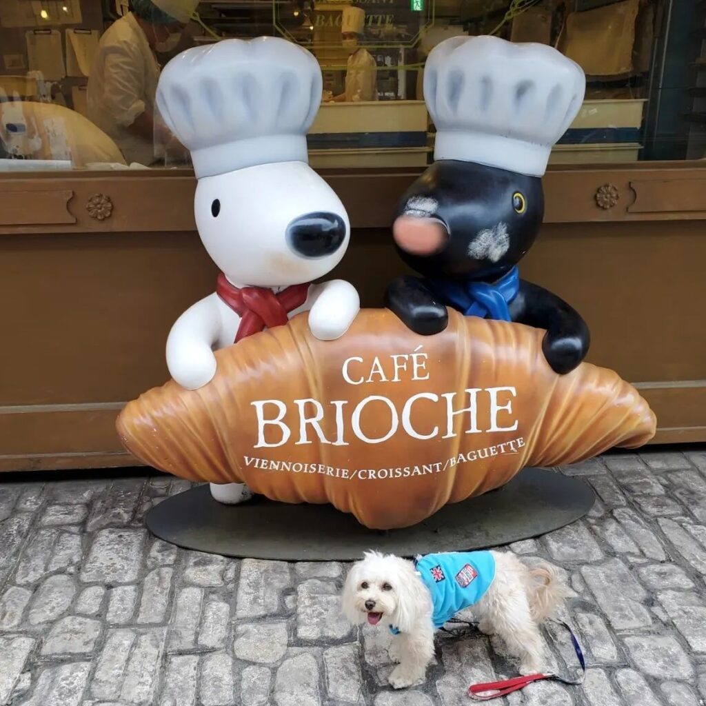 富士急ハイランド リサとガスパールタウン ドッグラン