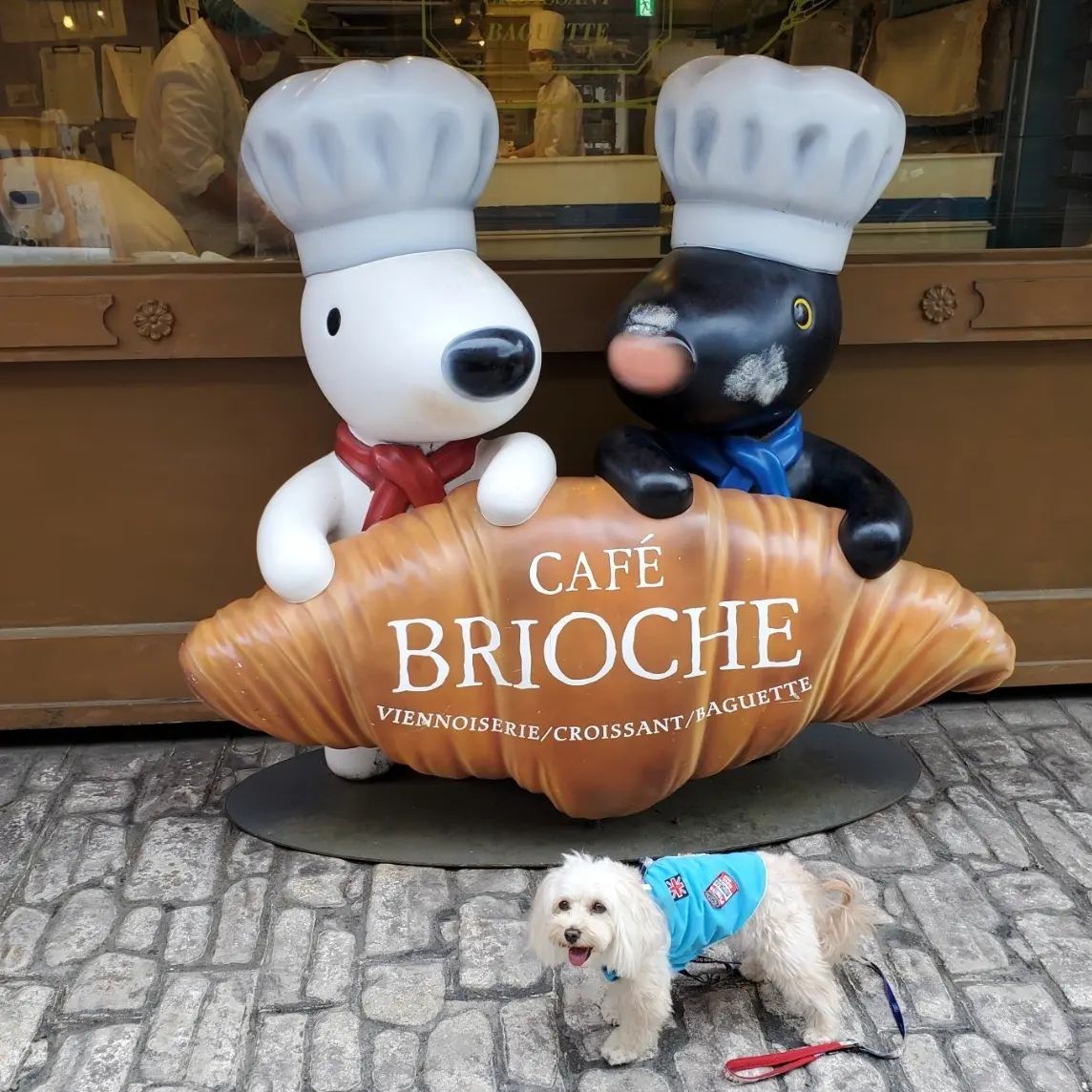 富士急ハイランド リサとガスパールタウン ドッグラン