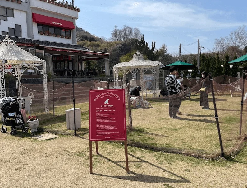 のじまスコーラ