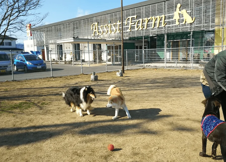 アシストファーム