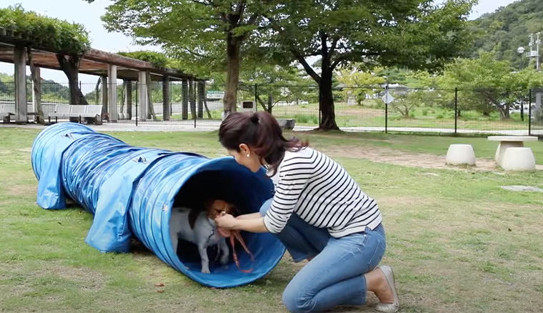瀬戸中央自動車道鴻ノ池SA上りドッグラン