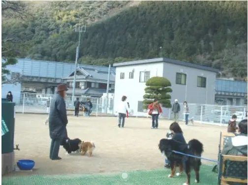 ワンダーランドアリス