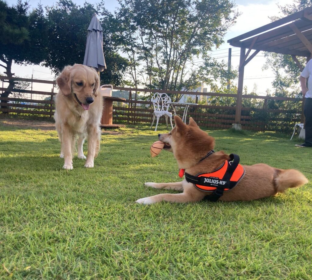 Fiore Cafe（フィオーレ カフェ）