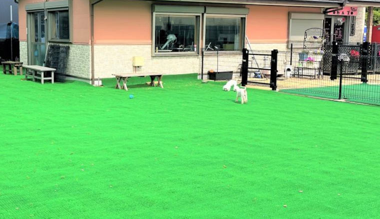 トリミングサロン わんズ