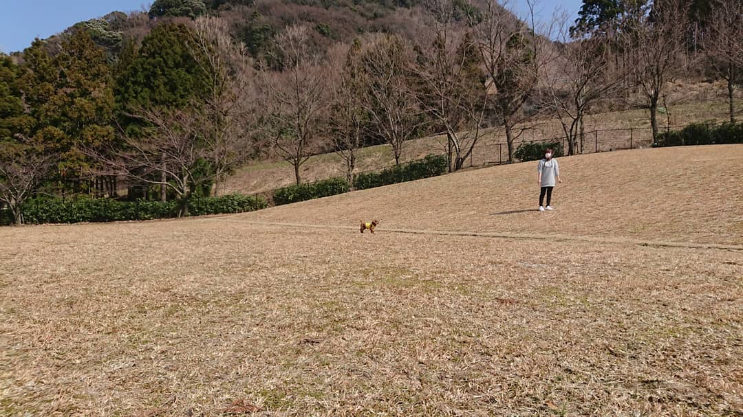 ガラガラ山越前水仙の里 キャンプ場