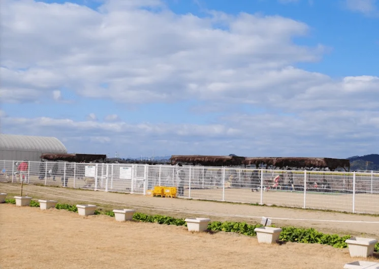 道の駅笠岡ベイファーム ドッグラン(犬の駅 笠岡ワン遊ランド)