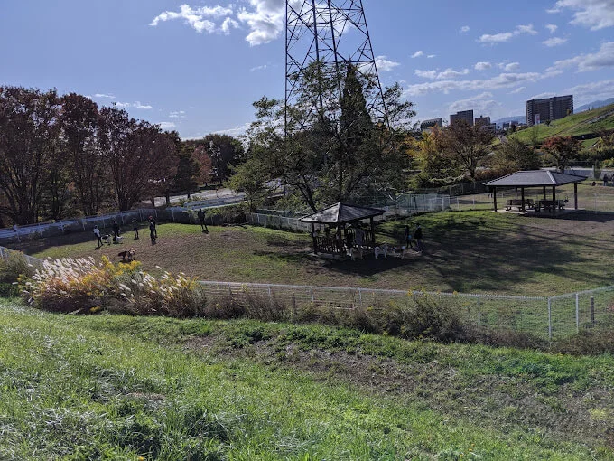 盛岡市中央公園ドッグラン