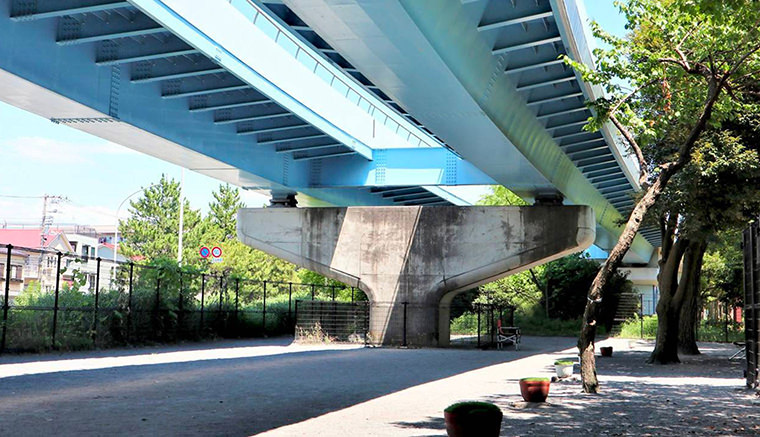 海の公園 犬の遊び場