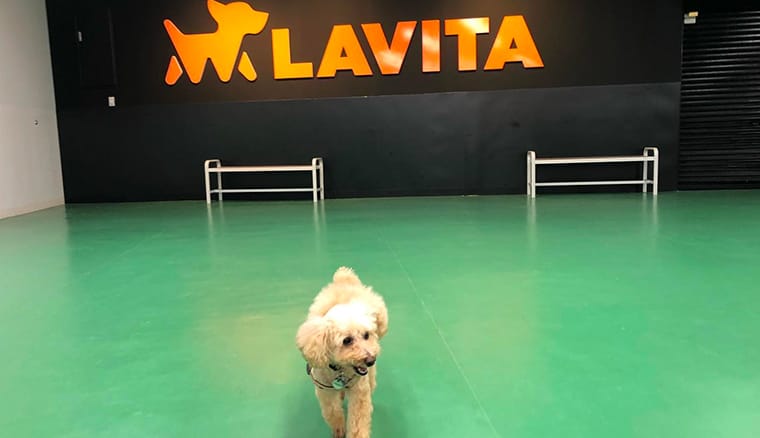 LAVITA(ラビータ) 東古松店