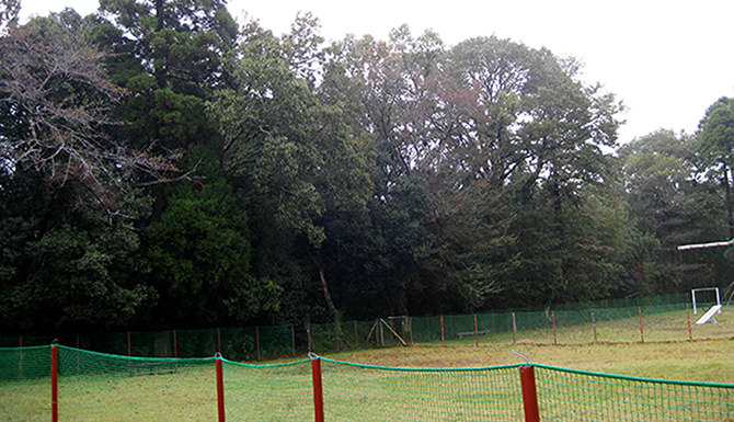 ドッグランパーク Big Fat Dog