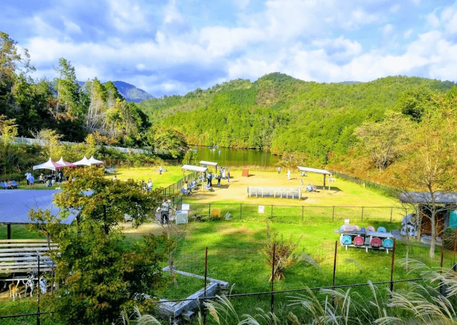 嵐山・高雄パークウェイ ワン遊ランド