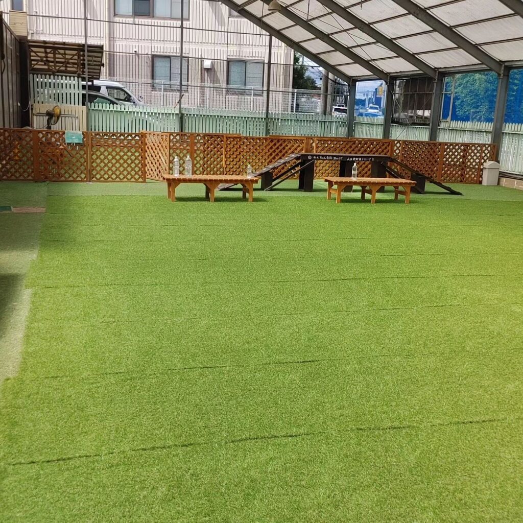 みつまめ倶楽部 ドッグラン