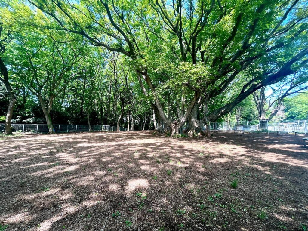 381676623_292871113498814_2315548900758435556_n