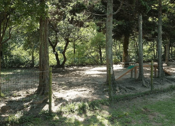 ひろしま遊学の森 わんこ広場