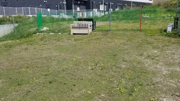 ドッグラン＆カフェ D-LAND