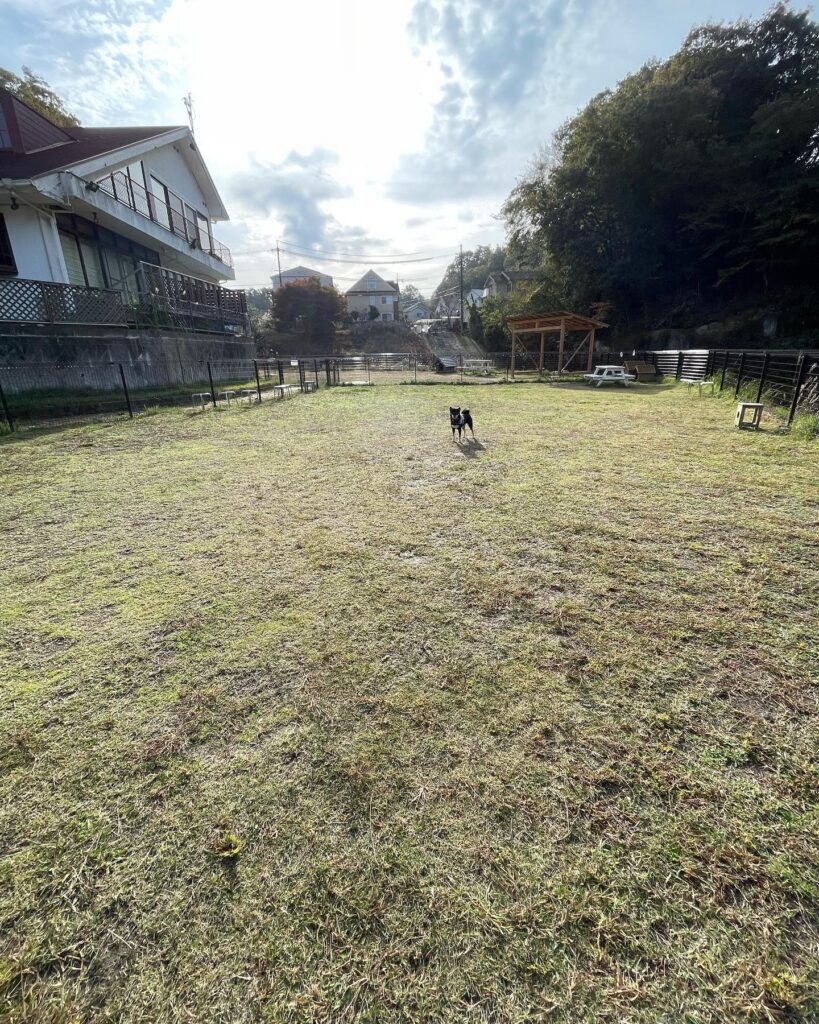 やまやまぱーく ドッグラン