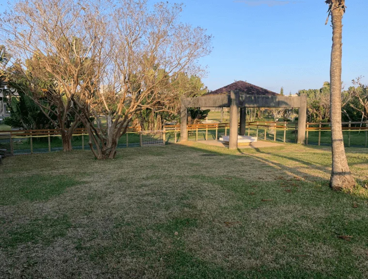 沖縄県総合運動公園 ドッグラン