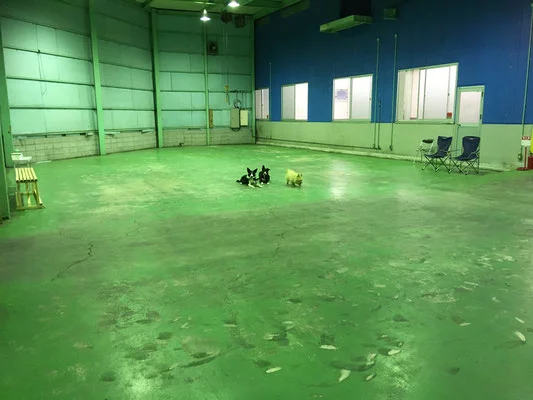 Dog ciTy ドッグラン