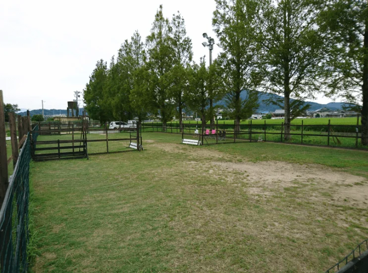 諫早ゆうゆうランド 干拓の里 ドッグラン チロルン村