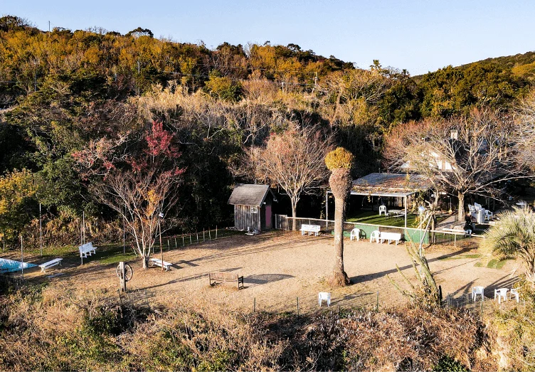 TEXAS LONGHORN by LIBERO CAFE