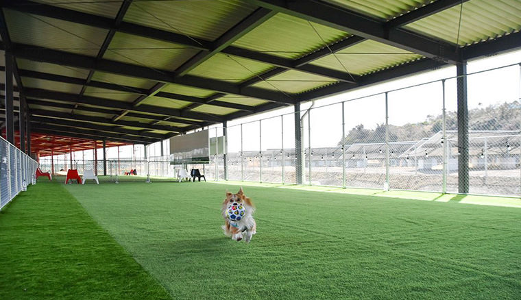 DOG RUN KAI（ドッグラン カイ）