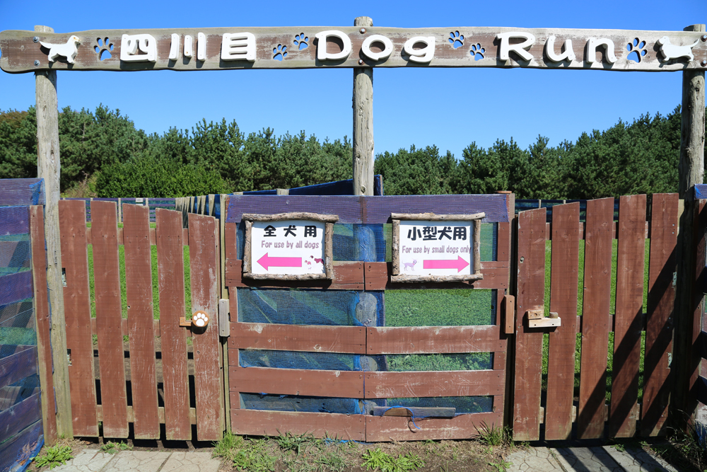 四川目ふるさと広場ドッグラン