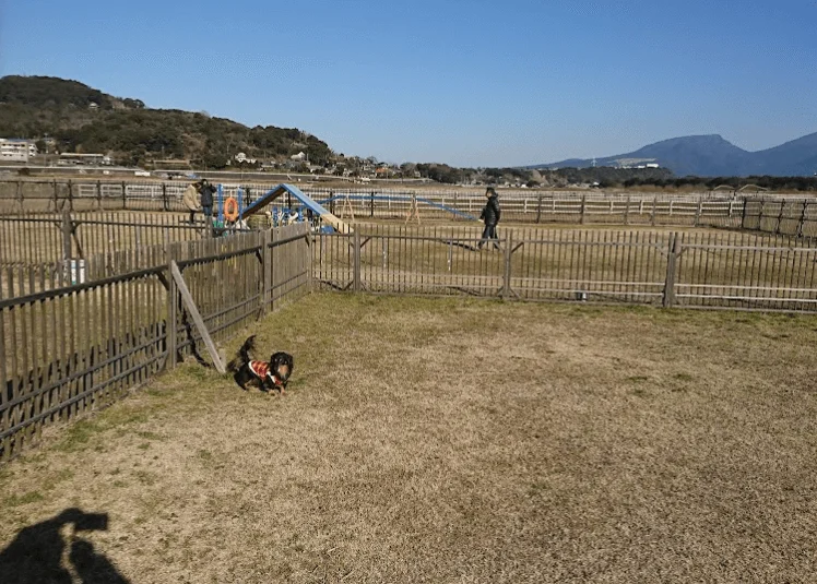 カラコカラフィールド（ドッグラン）