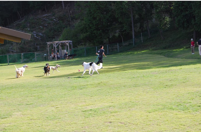 スチールの森 京都（京都府立 府民の森ひよし）