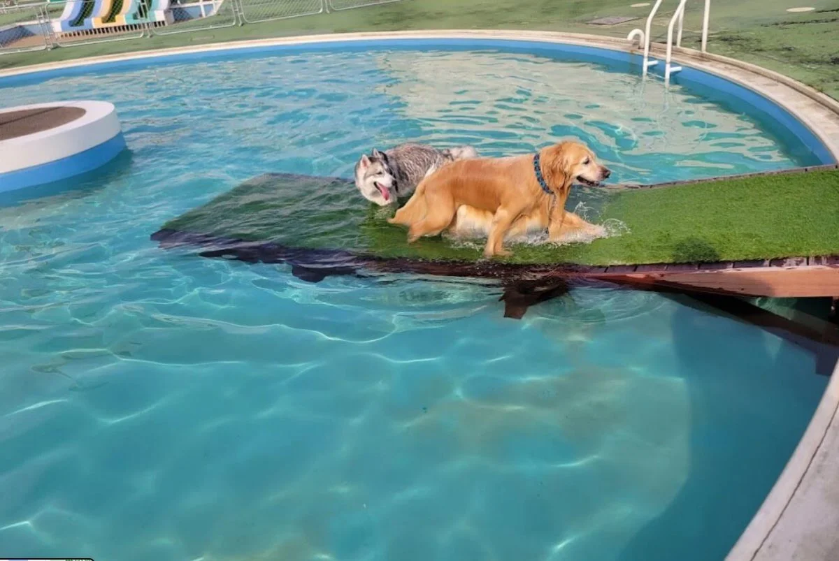 DOG PARK RUN and POOL -LANTERN CAMPING FIELD MORIYA-