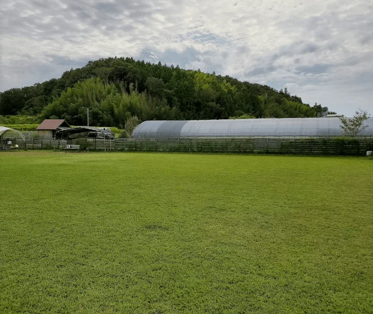 片山農園 予約貸切ドッグラン