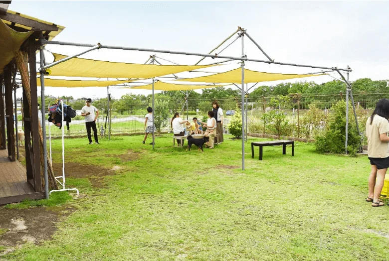 カフェ フクシア