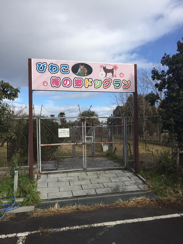 びわこ梅の郷ドッグラン