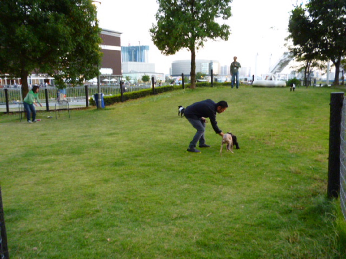 ILIOららぽーと豊洲店