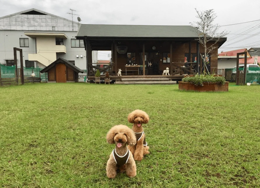 ミルキーズ ドッグラン