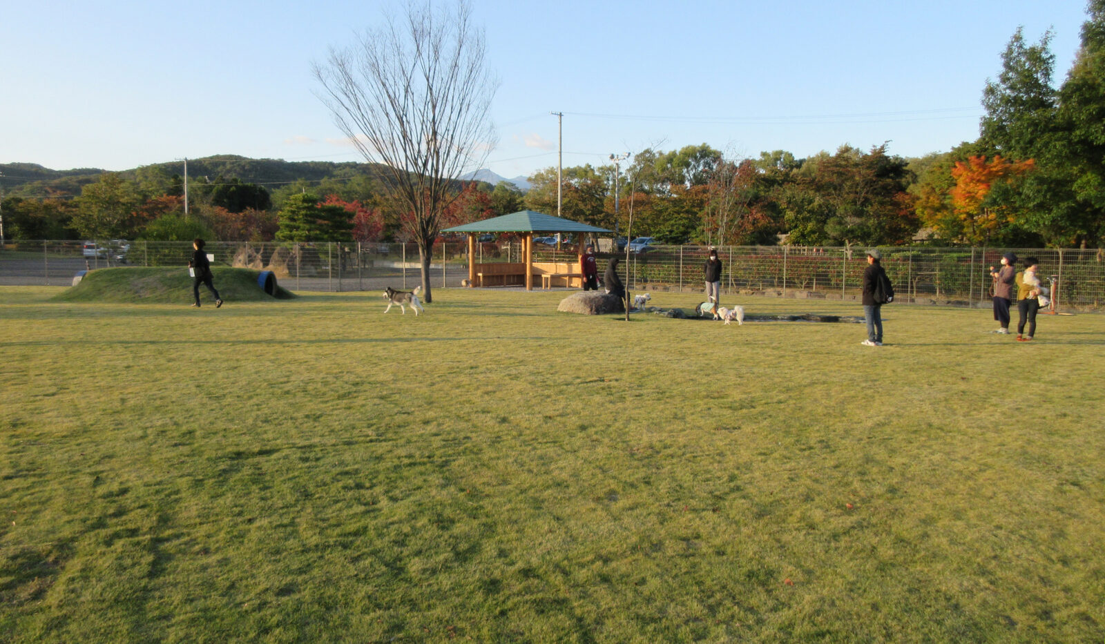 四季の里 緑水苑(りょくすいえん)