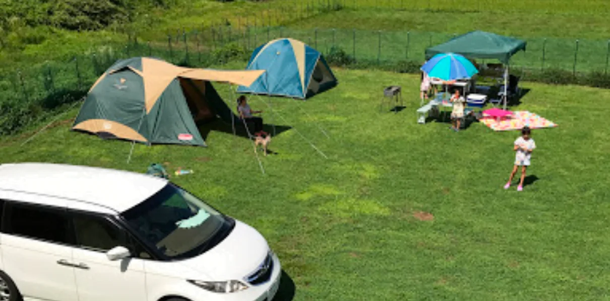 ドッグランWAN-WA