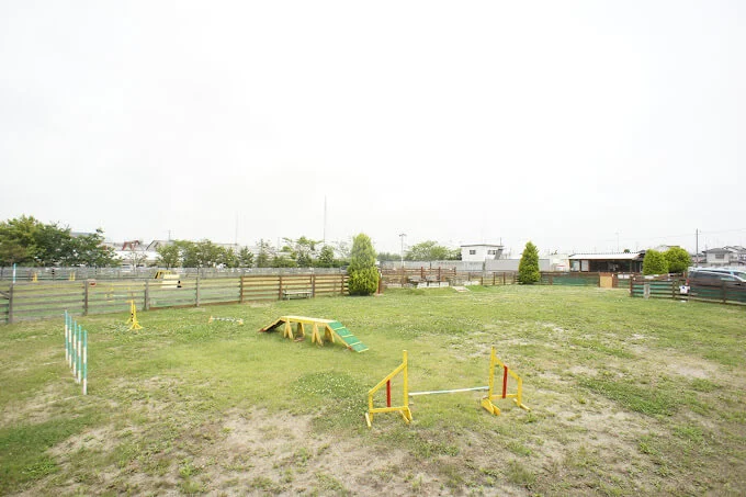 ドッグラン インディ